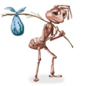 Meet your Posher, Renee